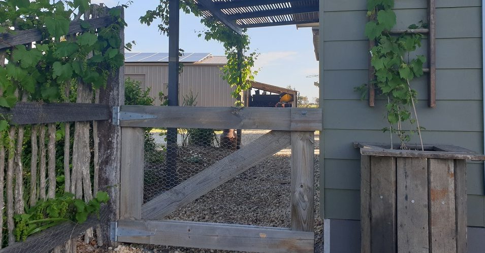 cropped-20191031_180047-1.jpg